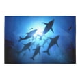 thumbnail image 2 of MKHERT Whale Doormat Rug Home Decor Floor Mat Bath Mat 23.6x15.7 inch, 2 of 3