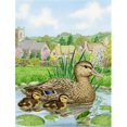 thumbnail image 1 of Mallard Duck Flag Garden Size, 1 of 1
