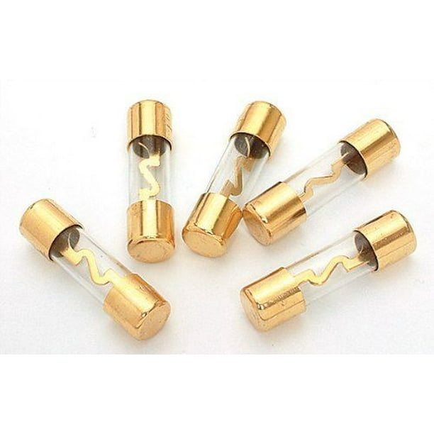 Absolute AGU100 5 Pack AGC Gold Standard Glass Fuses 100 Amp 12 Volts