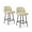 White teddy fleece 2-pack, variant on Modern Bar Stools Set of 4, 26" Counter Height Chairs with Backrest, Green PU Leather Upholstery, Arc Metal Footrest, Sturdy Metal Legs, Ergonomic Seating – Green PU, 4-Pack