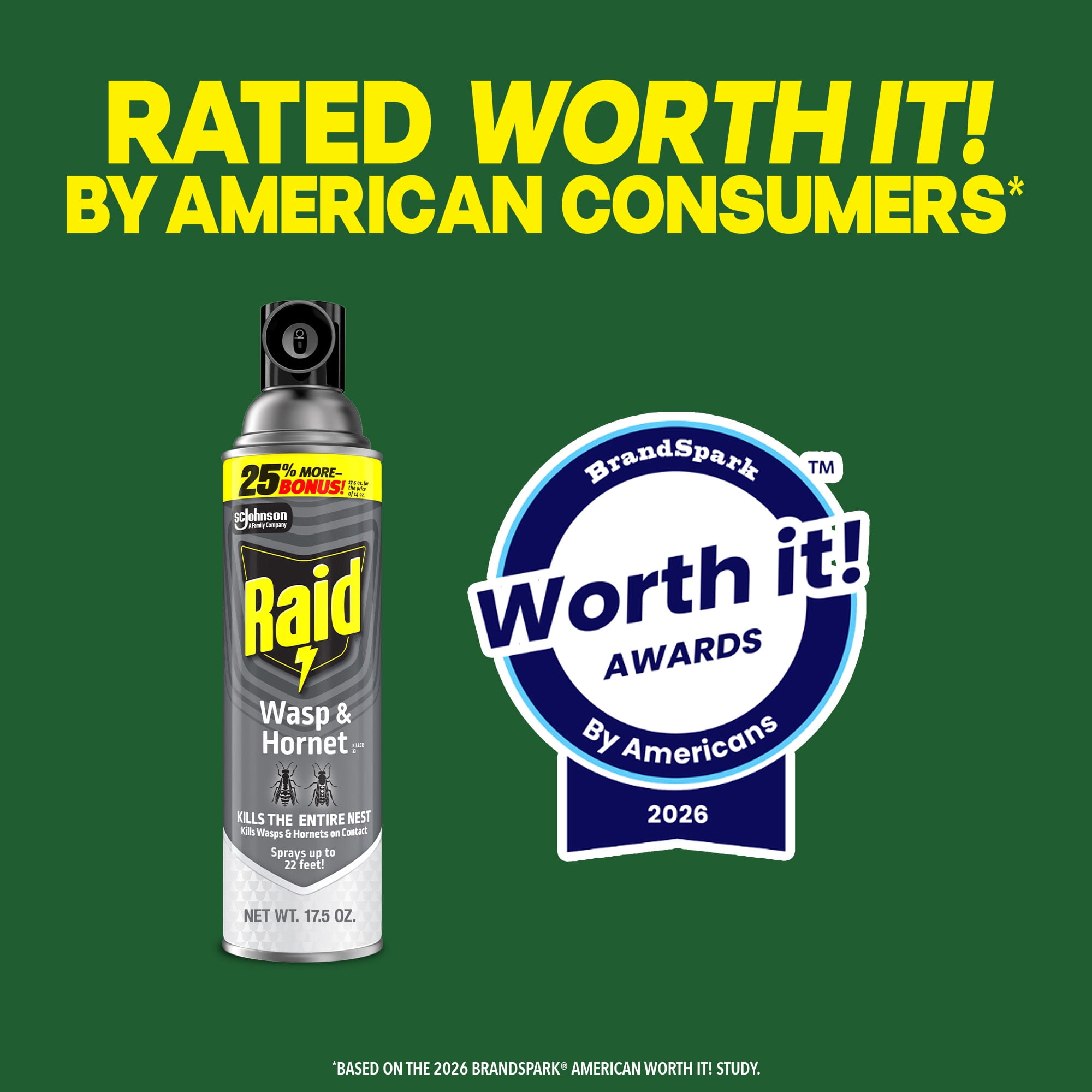 Raid Wasp & Hornet Killer, Outdoor Flying Insect Spray, 17.5 oz