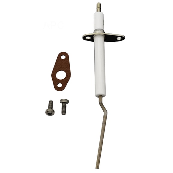 Pentair 462023 ETI400 Flame Sensor Kit