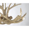 thumbnail image 6 of Daniels 6-Light Chandelier in Natural Antler, 6 of 6