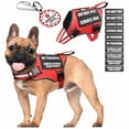 thumbnail image 1 of Chaleco para perros de servicio MOOGROU con etiqueta de identificación y 10 parches, color rojo S, 1 of 7