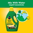 thumbnail image 4 of Miracle-Gro Quick Start Planting and Transplant Starting Solution, 48 oz., 4 of 11
