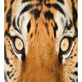 thumbnail image 3 of Savannah Duvet Cover Set, Close-up Tiger Eyes Hunter Look Feline Camouflage Coat Animal with Shady Colors, Decorative 3 Piece Bedding Set with 2 Pillow Shams, Queen Size, Orange Black, by Ambesonne, 3 of 3