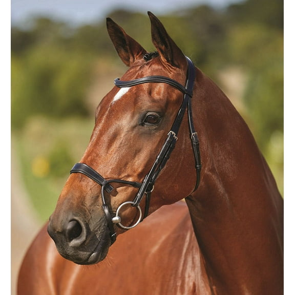 Collegiate ComFITec Training Bridle Color: Black Size: Full