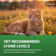 Vetoquinol Viralys Gel L-Lysine Supplement for Cats, 5oz - Cats & Kittens of All Ages - Immune Health - Sneezing, Runny Nose, Squinting, Watery Eyes - Palatable Maple Flavor Lysine Gel