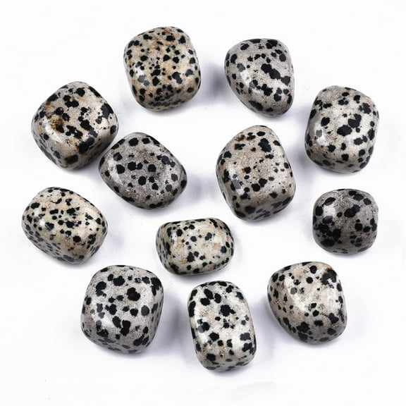 1Bag Natural Dalmatian Jasper Beads Healing Stones for Energy Balancing Meditation Therapy Tumbled Stone Vase Filler Gems No Hole/Undrilled Nuggets 19~30x18~28x10~24mm 250~300g/bag