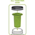 thumbnail image 6 of Tea Infuser Lid for Regular Mouth Mason Jars, Green, 6 of 7