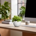 thumbnail image 2 of Ordivic 4 inch White Textured Ceramic Planter Pot with Drainage Hole & Plug, Small Decorative Indoor Flower Pot for Succulent Cactus Houseplant,Desktop Home Office Table Decor, 2 of 7