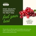 thumbnail image 6 of Swanson Cranberry 20:1 Herbal Supplement, Helps Promote Healthy Urinary Tract & Kidney Function, 180 Softgels, 6 of 8
