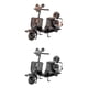 thumbnail image 1 of 2pcs Motocicleta Modelo Vintage Ovejas Motor Coche Para Niños, 1 of 9