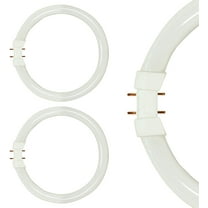 (Pack of 2) FC22T5/841 9" T5 Fluorescent Circline Bulbs – 22W, 4100K Cool White, 2GX13 Base