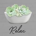 thumbnail image 2 of Prime, Marcus 12x12 White Modern Wood Framed Museum Art Print Titled - Relaxed Succulent, 2 of 4