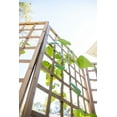 thumbnail image 4 of Bamboo Zig-Zag Trellis 24in x 36in, 4 of 7