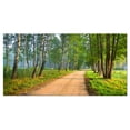 thumbnail image 2 of Road in Green Morning Forest - Landscape Photo Canvas Art Print, 2 of 3