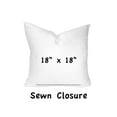 thumbnail image 3 of ATLAS Indoor/Outdoor Soft Royal Pillow, Sewn Closed, 18x18 93374, 3 of 5