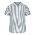thumbnail image 3 of RYRJJ Men's Casual Classic Fit Striped Dress Shirts Short Sleeve Button-Up Turndown Collar Cotton Shirt(Green,XXL), 3 of 5
