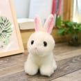 thumbnail image 1 of Daisyyozoid Wholesale Cute Simulation Rabbit Doll Plush Toy Doll Small White Rabbit Girl Heart Birthday Gift, 1 of 2
