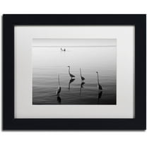 Trademark Fine Art "4 Herons and Boat" Canvas Art by Moises Levy White Matte, Black Frame