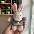 thumbnail image 5 of Bottone Lovely Plush Necklace Rabbit Charm Keychains Cute Plush Ornament Pendant Bag Charm Car Keyring Backpack Decoration, 5 of 7