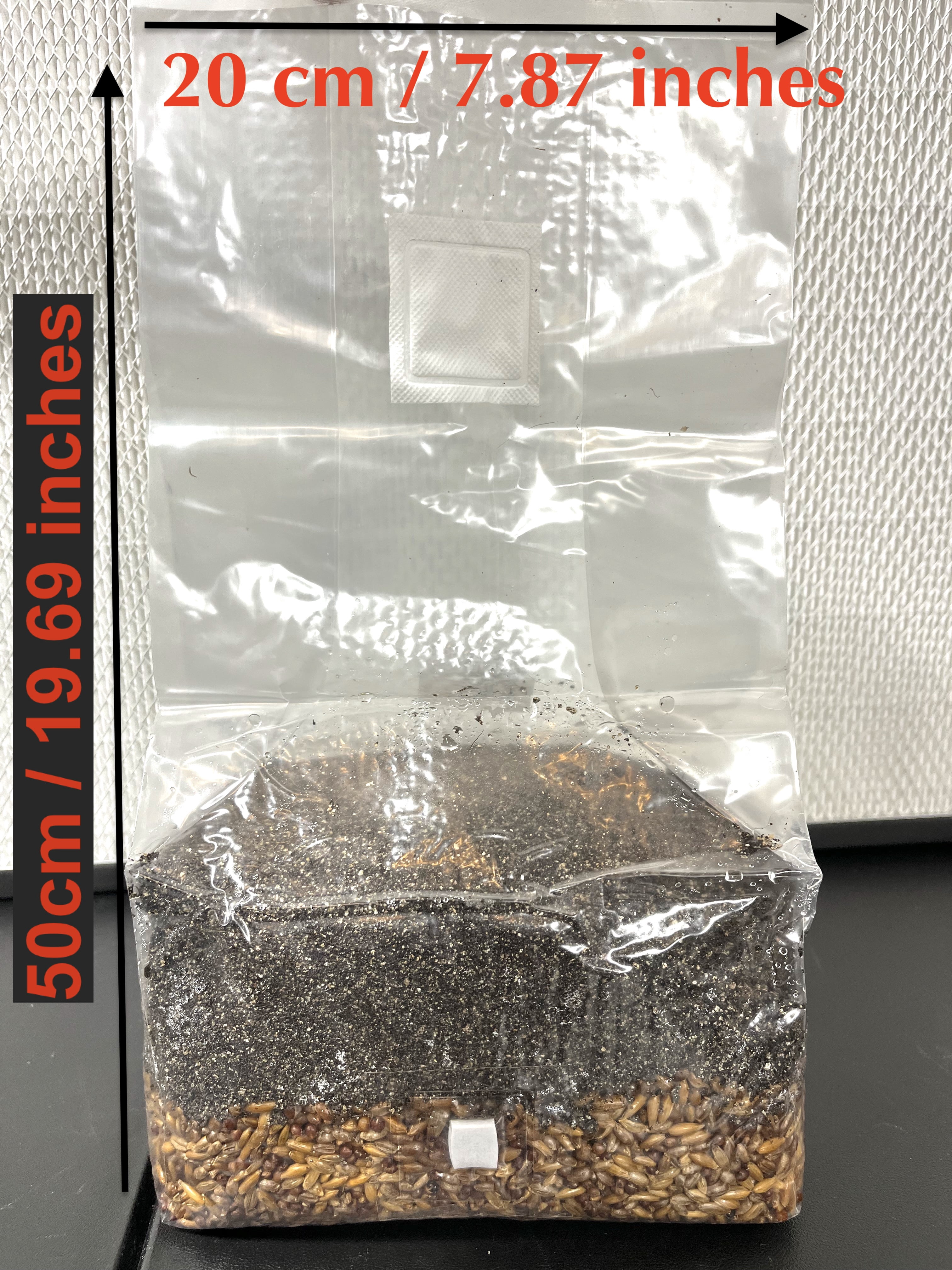 5lb All-in-One Mushroom Grow Bag – CVG Substrate with Azomite – Sterilized 3-Grain Blend (Rye, Oats, Milo) – Premium Bulk Grow Kit