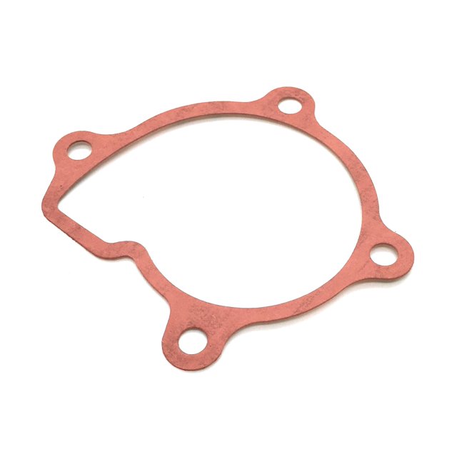 Replacementkits.Com Junta De Bomba De Agua Compatible Con Yamaha Rhino Grizzly 660S (2002-2008) Reemplaza 5Km-12428-00-00