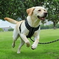 thumbnail image 2 of Pet Others Chest Harness Adjustable Harness for Dogs M Size, 2 of 4