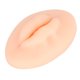 thumbnail image 1 of Pieles Falsas de Silicona para Labios Labios Falsos Labios de Silicona 3D Semipermanentes Suave Piel Real Sensación de Tacto Labios Falsos para Entrenamiento de Microblading ANGGREK Otros, 1 of 8
