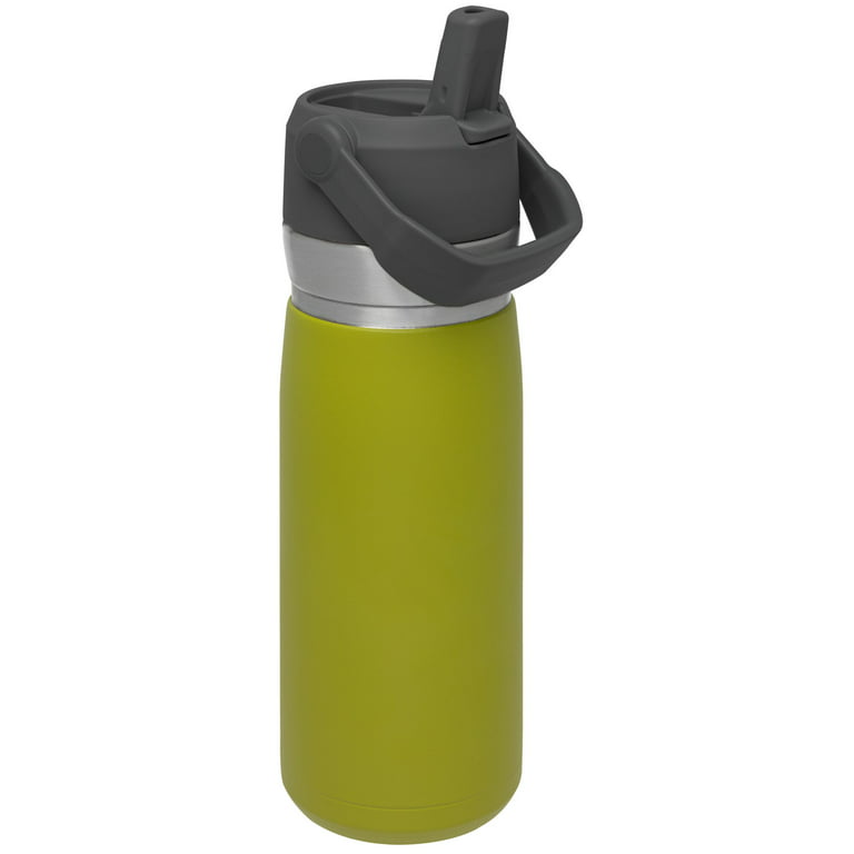STANLEY 22 oz Green and Silver Insulated Stainless Steel Water Bottle with  Straw and Flip-Top Lid