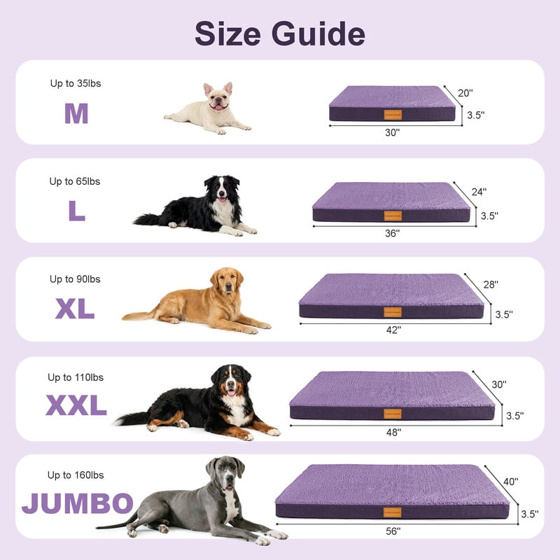 Exclusivo Mezcla Extra Large Dog Bed with Removable and Washable Cover, Orthopedic Pet Bed for Crates, Non-Slip Bottom and Waterproof Liner, 56"×40", Purple