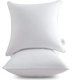 thumbnail image 1 of Leeden Insertos de almohada de 20 x 20 (juego de 2) - Insertos de almohada con funda 100% algodón - Insertos de almohada de sofá interior cuadrados de 20 pulgadas - Par de insertos de almohada decorat, 1 of 5
