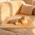 thumbnail image 4 of Self Warming Cat Bed Self Heating Cat Dog Mat 22 x 18 inch Extra Warm Thermal Pet Pad for Indoor Outdoor Pets Beds & Furniture with Removable Cover Reversible Blanket Non-Slip Bottom Washable, 4 of 6