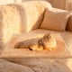 thumbnail image 4 of PRODUCTOS PARA MASCOTAS Almohadilla térmica autocalentable para cama de perro Almohadilla térmica autocalentable para gatos Alfombrilla calefactora para gatos salvajes y de interior Alfombrillas de pe, 4 of 6
