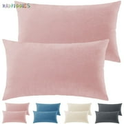 BadPiggies 2 Pack Velvet Soft Soild Pillowcases Body Throw Pillow Cover for Sofa Couch Bedroom (20" x 30")