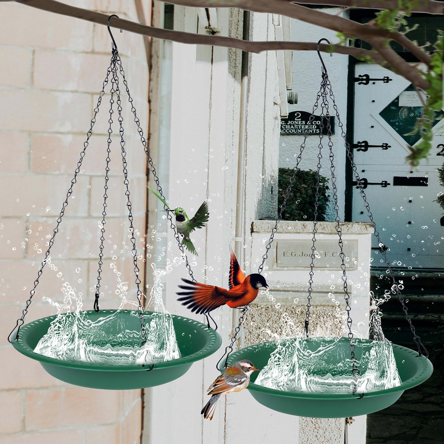 Sparklane - Bird Bath for Outside Heavy Duty, 14 inch BirdBath Bowl Only with 25” Rust-Proof Black Chains for Outdoor, Hanging Bird Bath Hanging Bird-Feeder for Garden Backyard Decor (Green 1 Pack)