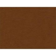 Picket House Furnishings Hanson Leather Upholstered Sofa in Fiero Tan