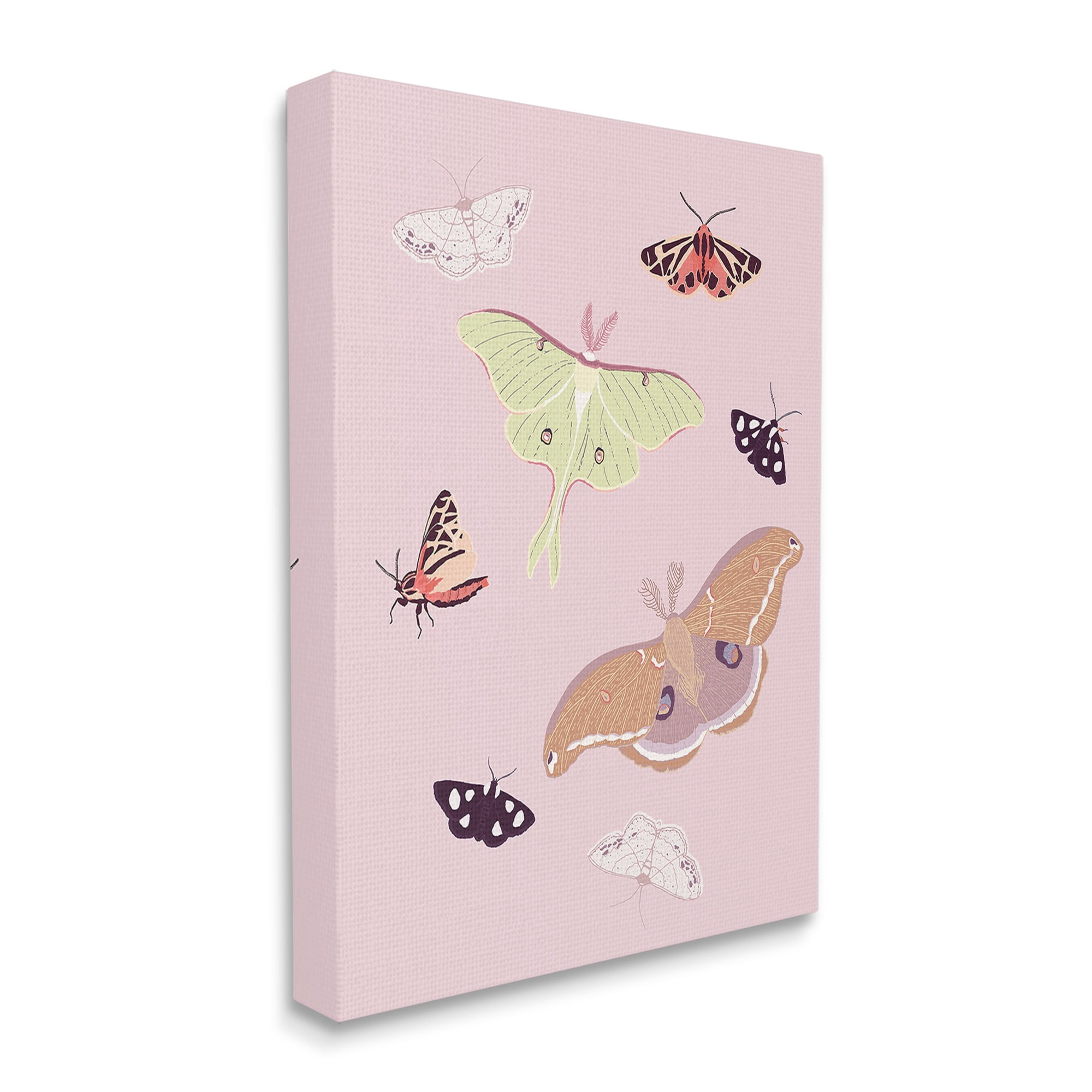 Stupell Industries Varied Moth Pattern Animals & Insects Painting Gallery Wrapped Canvas Art Print Wall Art, 30 x 40