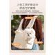 thumbnail image 4 of Bolsa de viaje portátil para mascotas, mochila de hombro doble para gatos y perros, gran capacidad, 4 of 5
