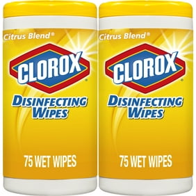 Clorox Disinfecting Wipes, 2 Soft Packs, (150 ct) Bleach ...