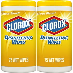 Clorox Disinfecting Wipes, 2 Soft Packs, (150 ct) Bleach ...