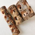 thumbnail image 3 of Bird Parrot Natural Wooden Standing Stick Pet Molar Toys Bird Cage Accessories For Guinea Pig Rabbit, 3 of 9