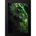 thumbnail image 2 of Incado 11x14 Black Modern Framed Museum Art Print Titled - Peacock Tail, 2 of 5