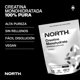 thumbnail image 2 of North Creatine Monohydrate | Creatina Monohidratada Micronizada 100% Alta Pureza | Fuerza · Masa Muscular · Cognición | Suplemento Alimenticio Vegano 450g | 90 Porciones, 2 of 8