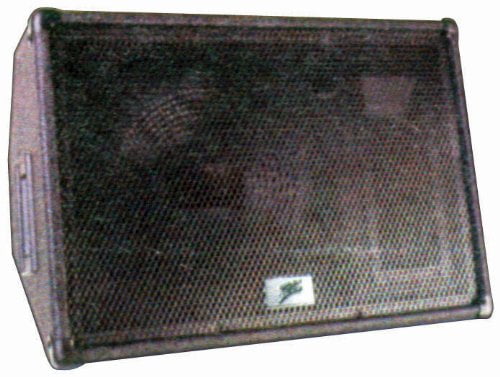 audiopipe dj speakers