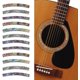 thumbnail image 1 of Pegatinas para incrustaciones de boca de guitarra Roseta de guitarra Tiras curvas de abulón de Nueva Zelanda Pegatinas para incrustaciones de boca de guitarra para guitarras acústicas Abulón verde, 1 of 6