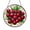 Acrylic 3.5 Inch, variant on Garden Cherry Window Sun Catcher, Bright Stained Glass Style Hanging Decor, Nature Gift