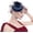 Navy Blue, variant on Women's Fascinators Hats 20s 50s Pillbox Hat Tea Party Hats with Pearl Feather Mesh Veil Derby Hat for Wedding Cup Headpiece
