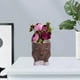 thumbnail image 5 of Maceta de flores para la cara, maceta para plantas, maceta para la cara, suculentos, Mini plantas , decoración de escritorio multiusos Café, 5 of 8